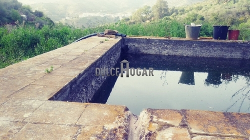 Totalán Axarquía tomt foto 6253235