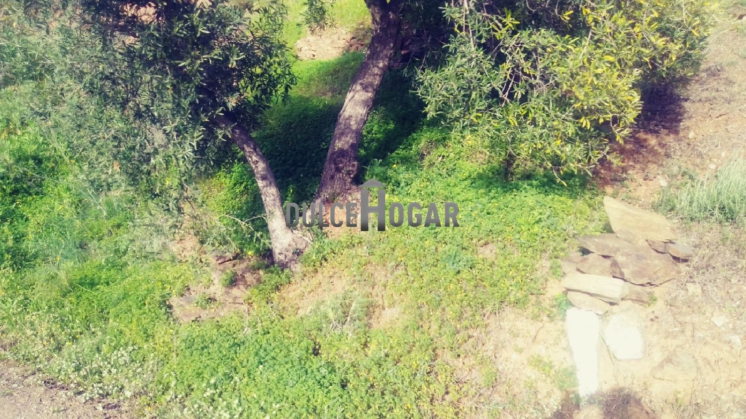  for sale plot Totalán Axarquía 6
