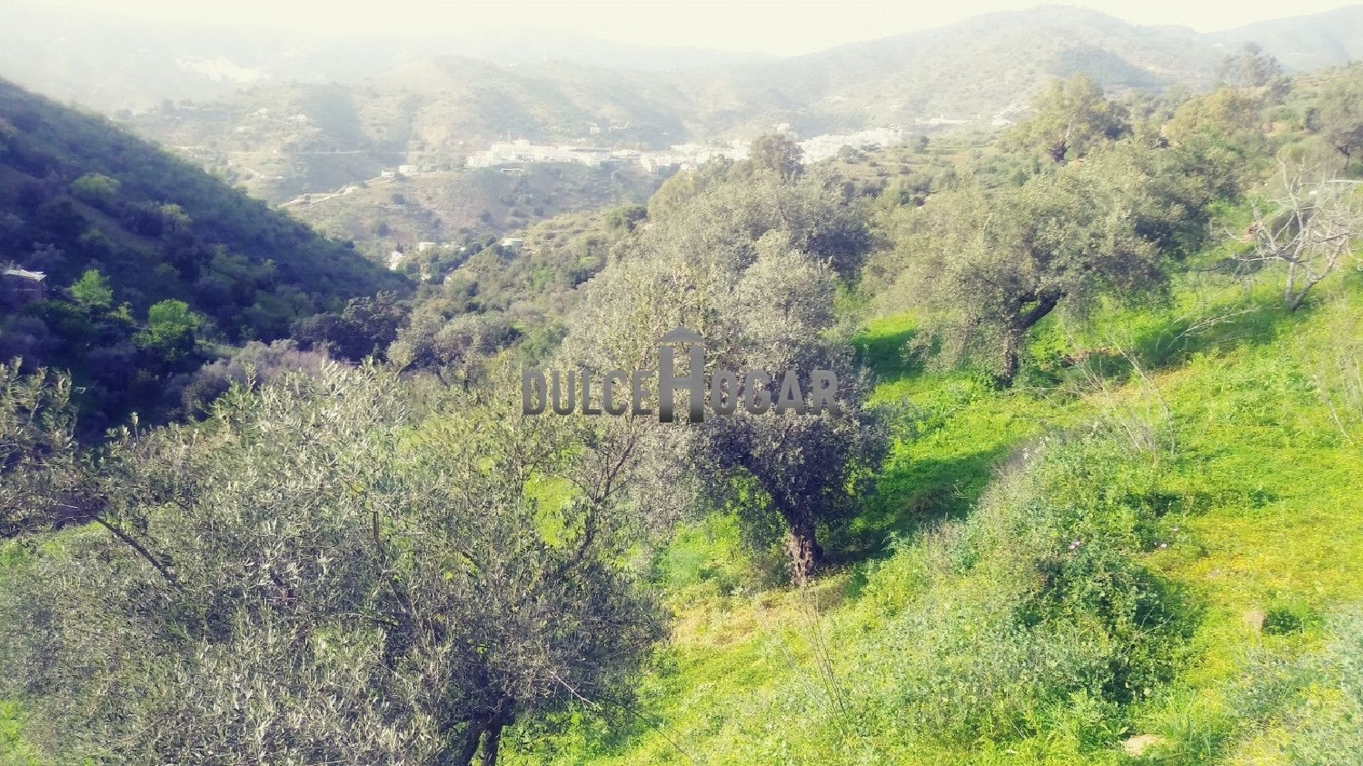  for sale plot Totalán Axarquía 7