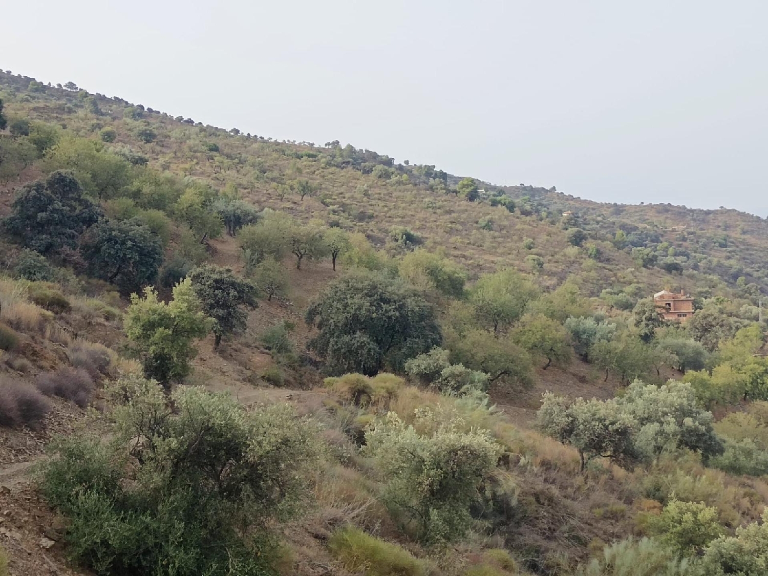  for sale plot Olias Málaga-Costa Del Sol 4
