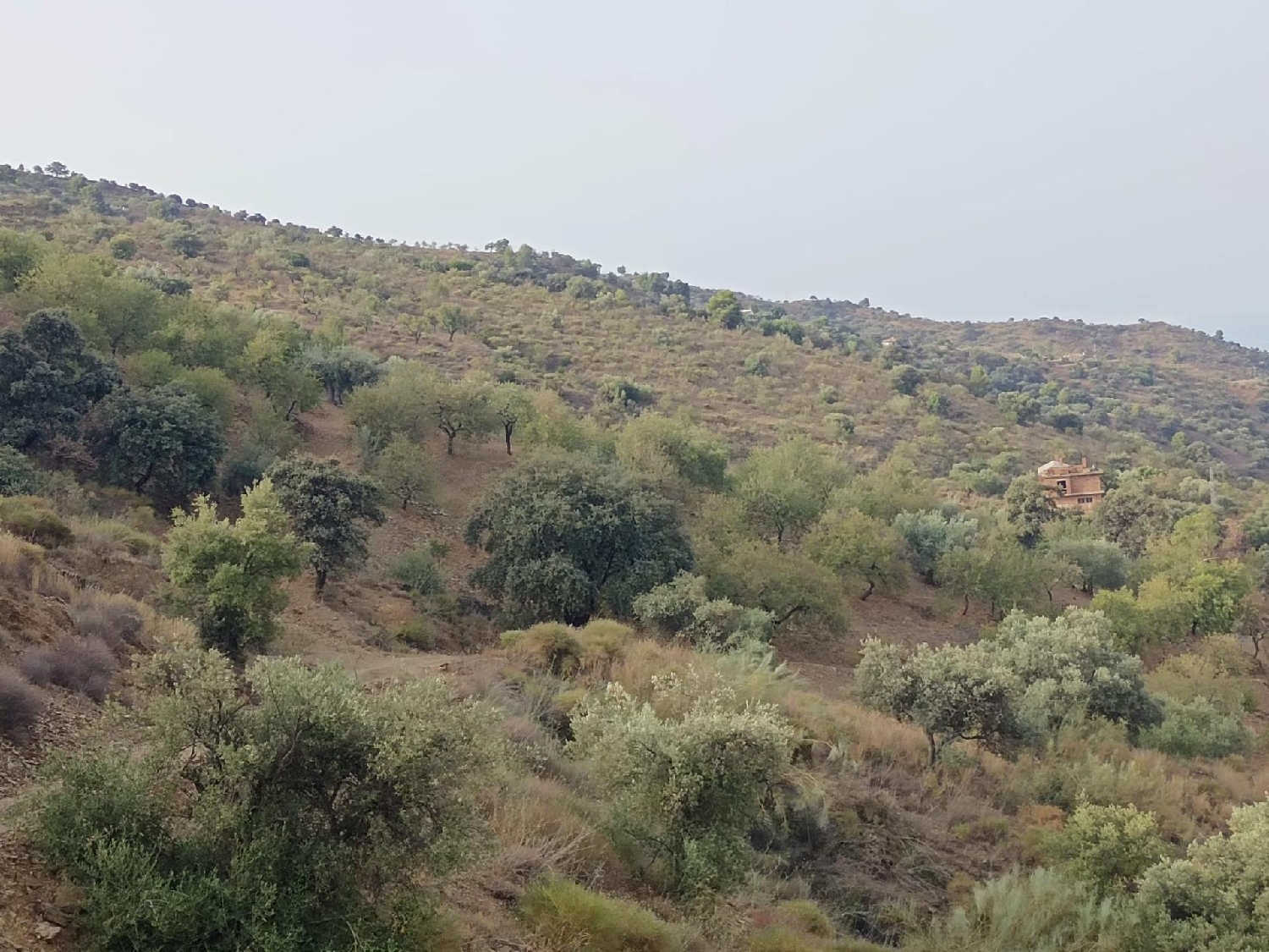  for sale plot Olias Málaga-Costa Del Sol 7
