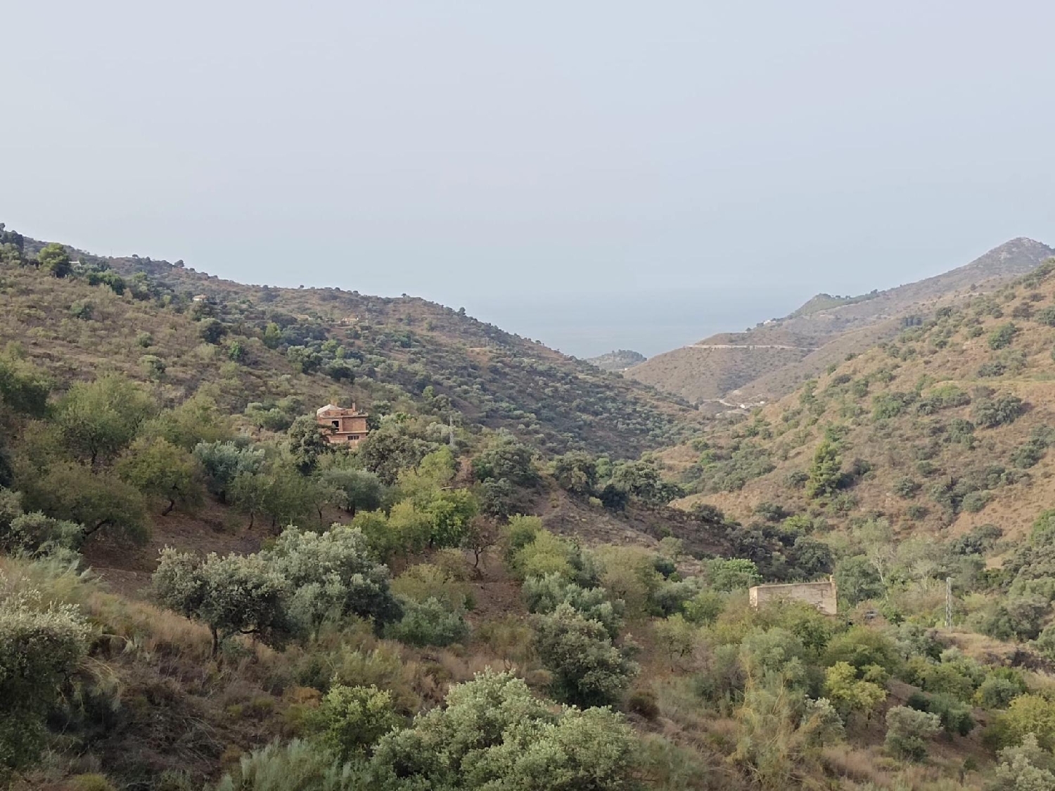  till salu tomt Totalán Axarquía 8