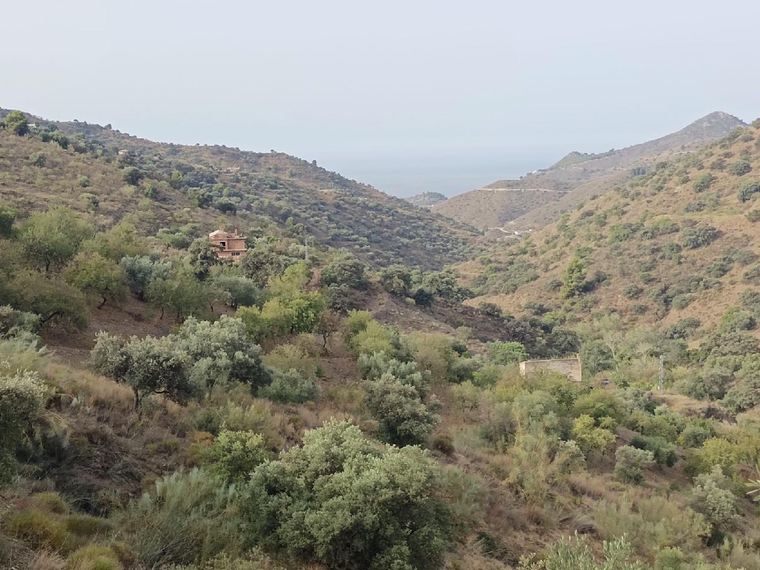  till salu tomt Totalán Axarquía 4