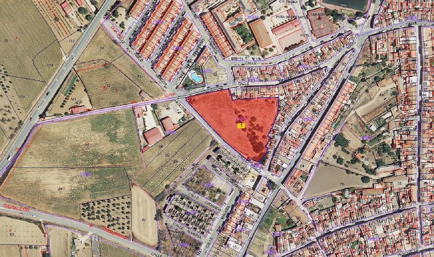  till salu tomt Laguna Del Torrejon Condado (El) 4
