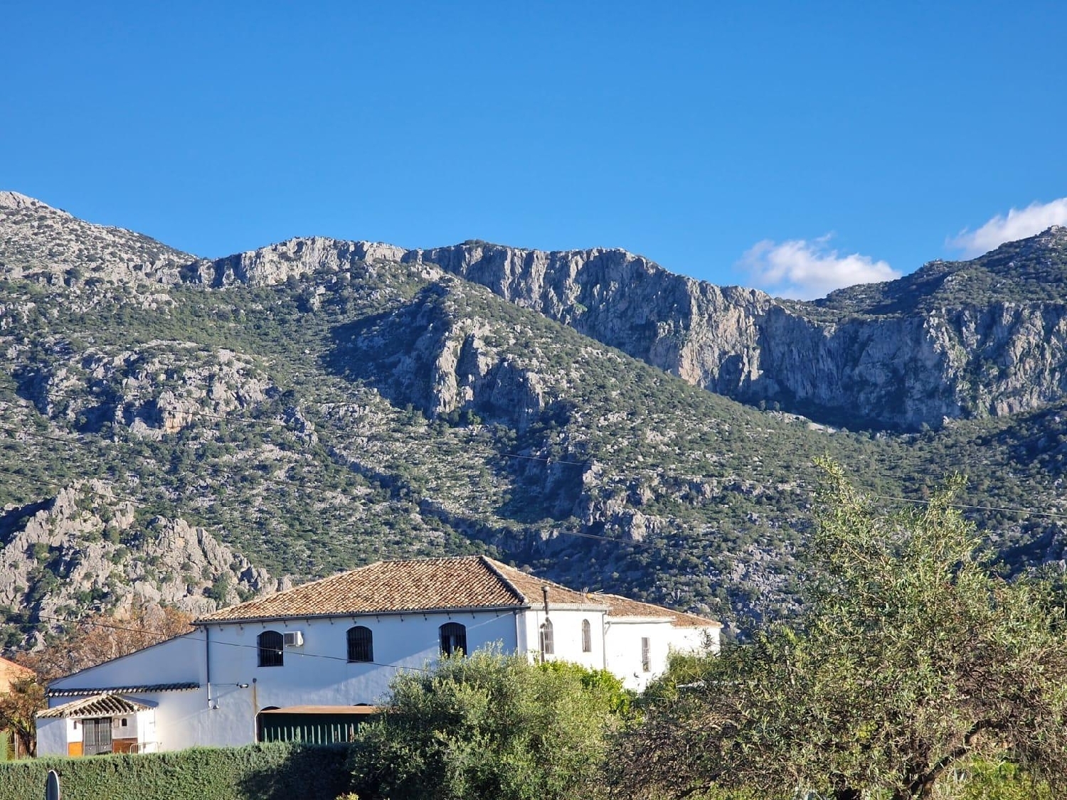 till salu tomt Ubrique Sierra De Cádiz 2