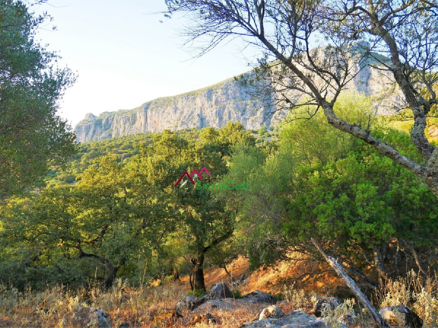till salu tomt Ubrique Sierra De Cádiz 2