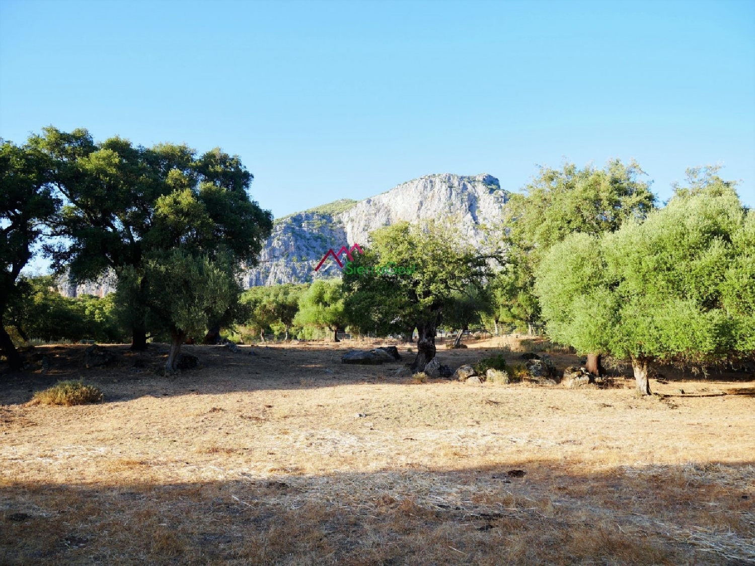 till salu tomt Ubrique Sierra De Cádiz 3