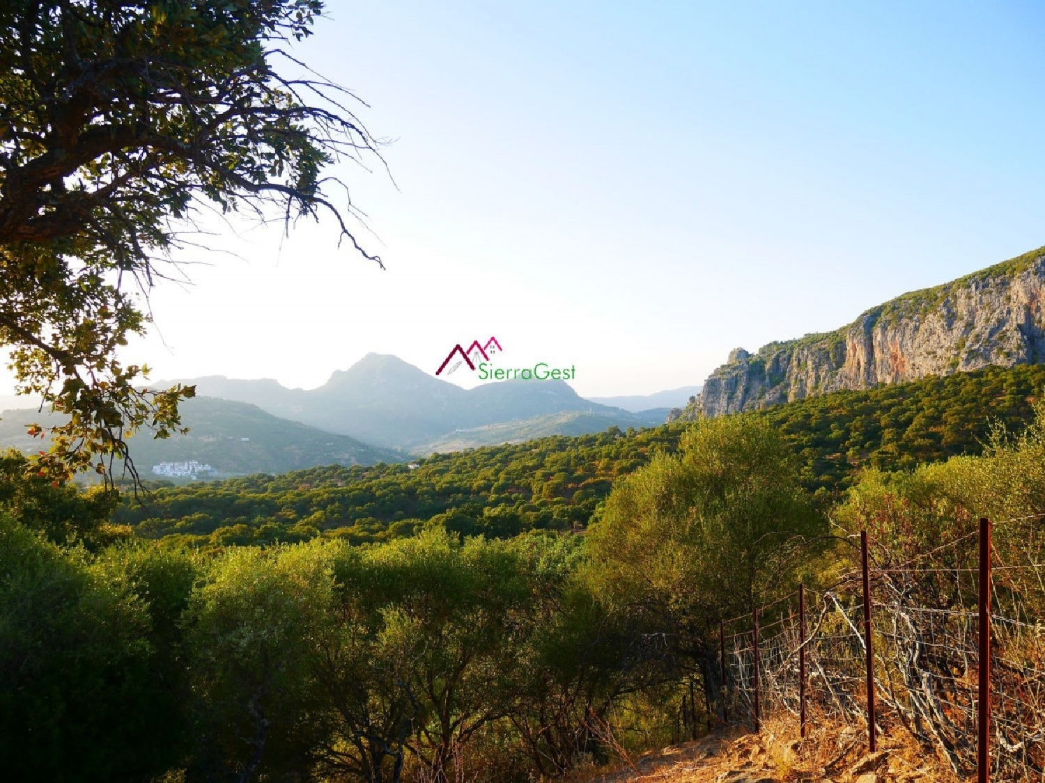  till salu tomt Ubrique Sierra De Cádiz 1