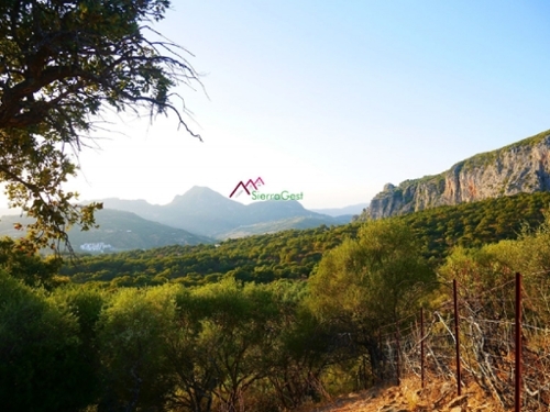Ubrique Sierra De Cádiz tomt foto 6252554
