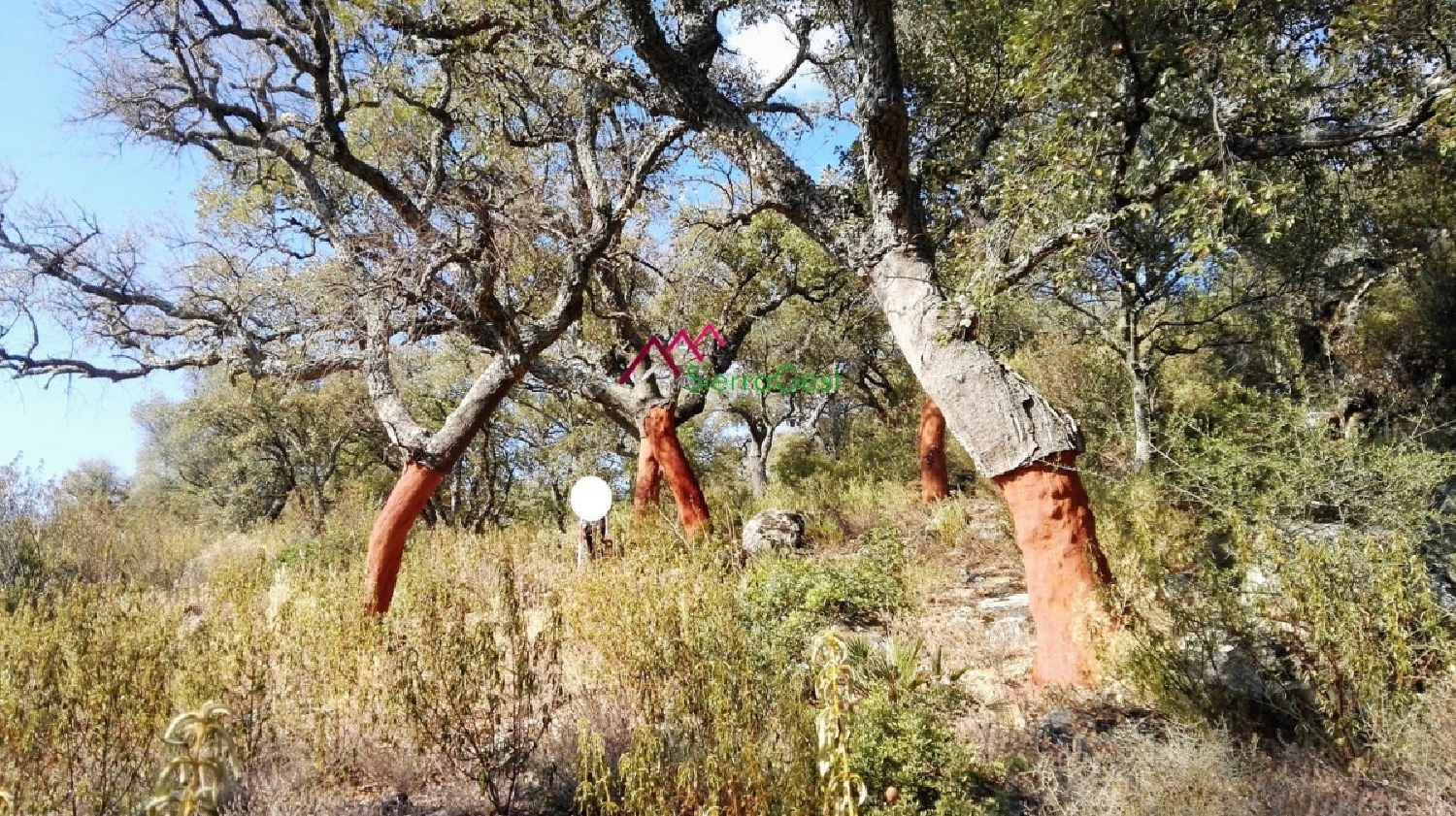 till salu tomt Ubrique Sierra De Cádiz 2
