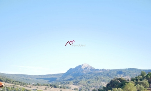 Ubrique Sierra De Cádiz tomt foto 6252576