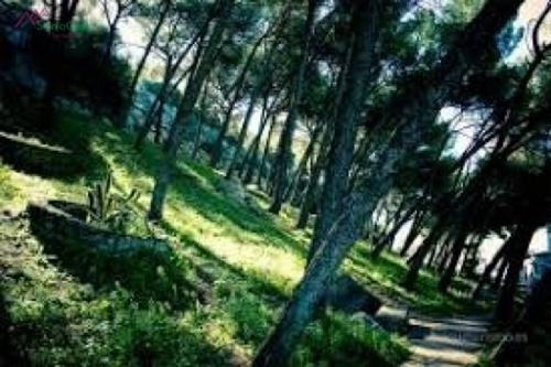 Ubrique Sierra De Cádiz tomt foto 6252586