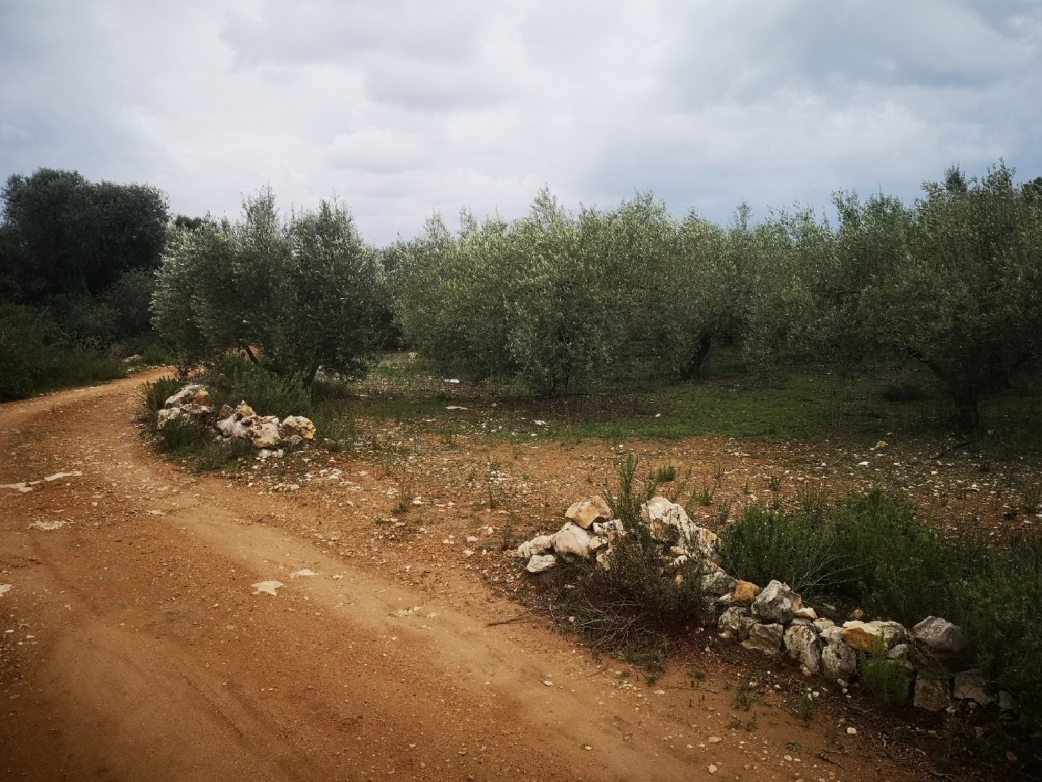  till salu tomt Ulldecona Montsià 5