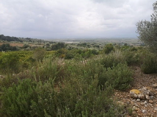 Ulldecona Montsià tomt foto 6252390
