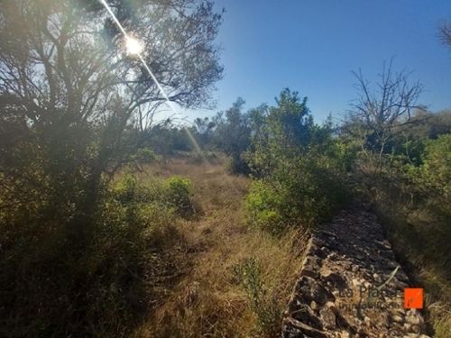 Ulldecona Montsià plot foto 6263599
