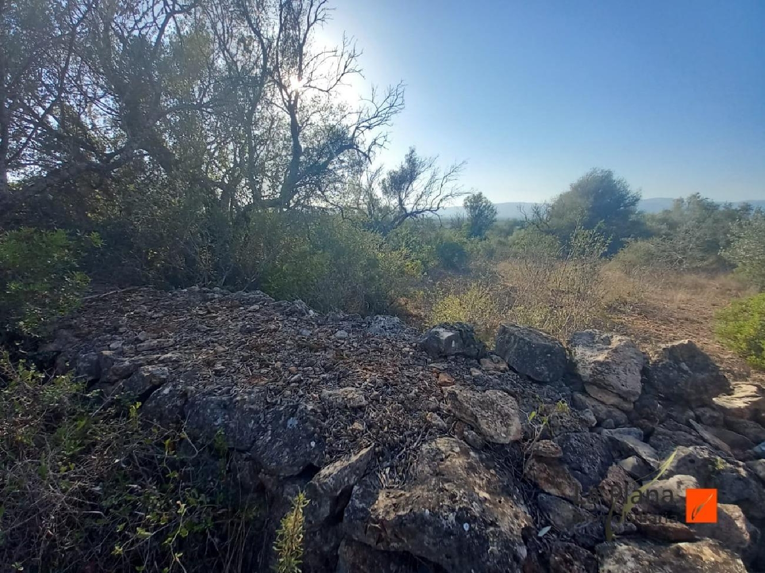 till salu tomt Ulldecona Montsià 2