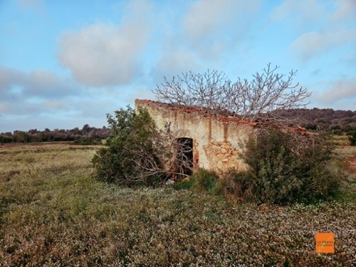 Ulldecona Montsià plot foto 6263656