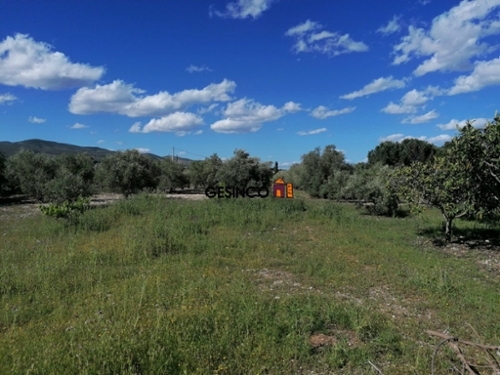 Urbanitzacio Les Aigües Vall D''albaida tomt foto 6233207