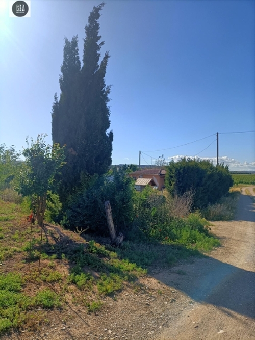 Urbanitzacio La Serra Segrià tomt foto 6256497