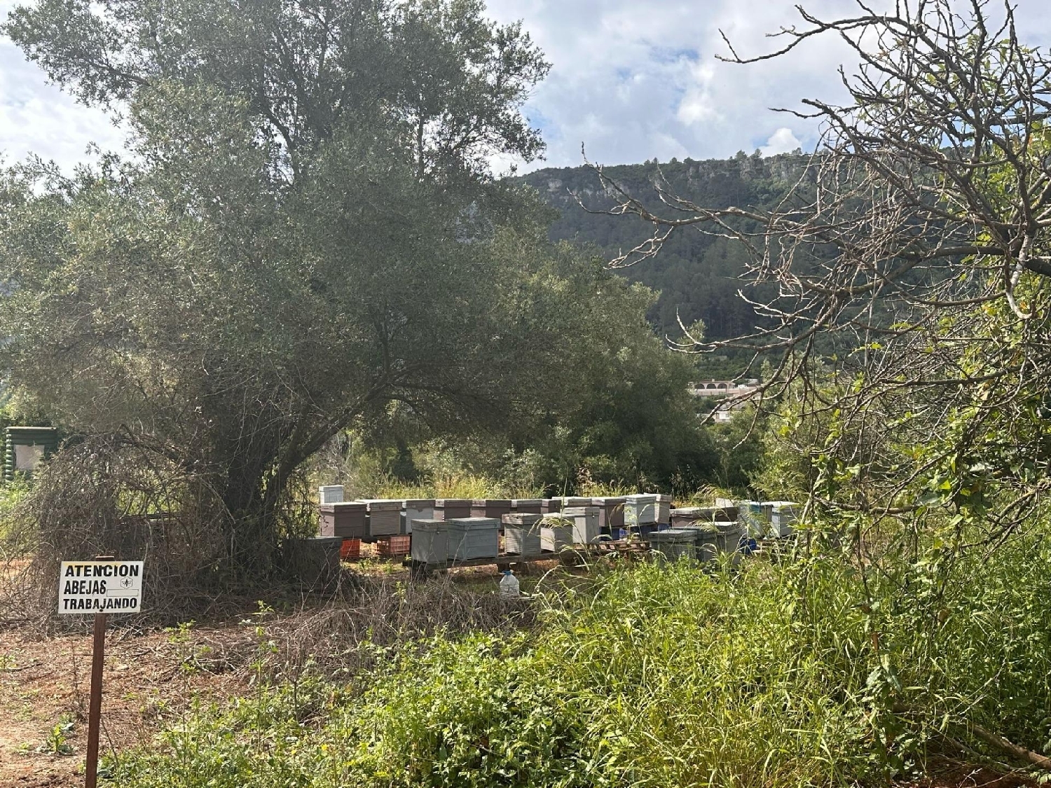 till salu tomt Urbanización El Racó Ribera Alta 3