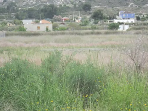 Alcasar Marina Alta tomt foto 6190374