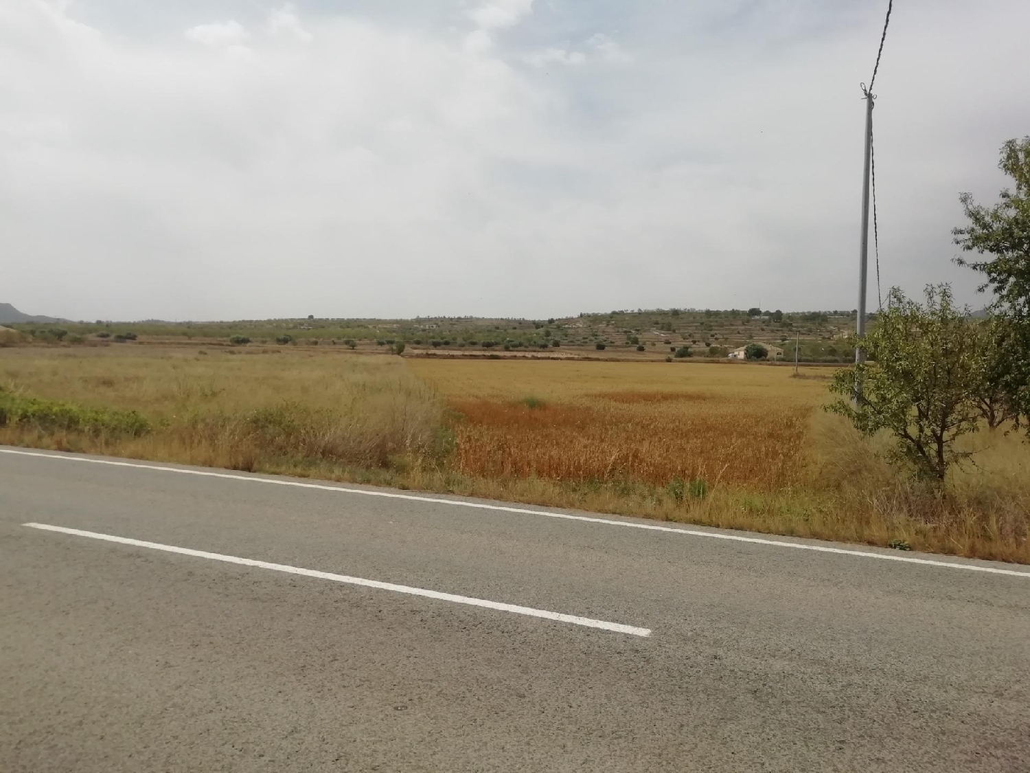  en venta terreno Castillo De Don Juan Baix Segura 1