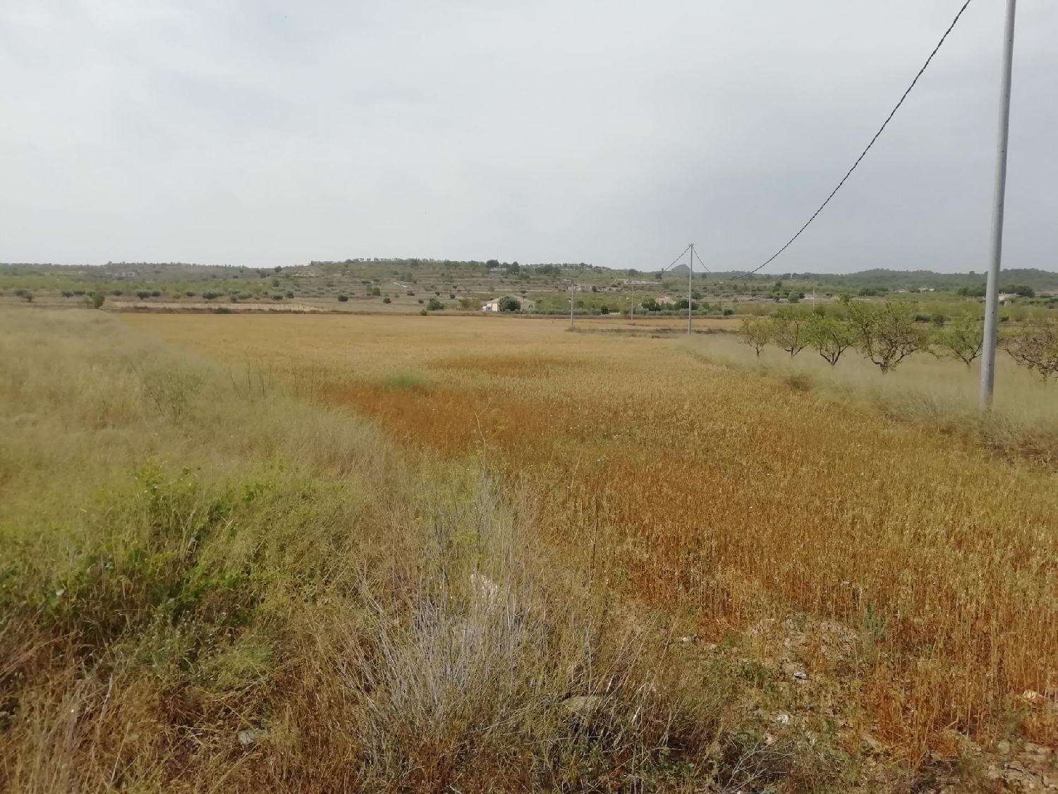 en venta terreno Castillo De Don Juan Baix Segura 3