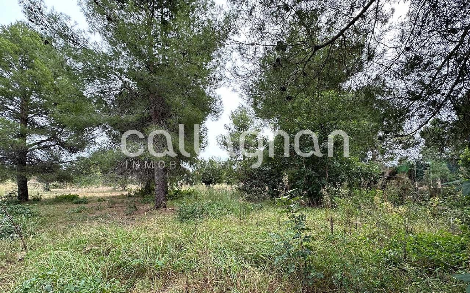  till salu tomt Urbanización Cumbres San Antonio Camp De Túria 6