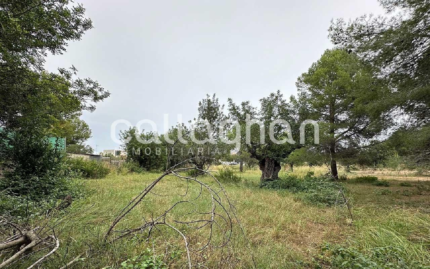  till salu tomt Urbanización Cumbres San Antonio Camp De Túria 5