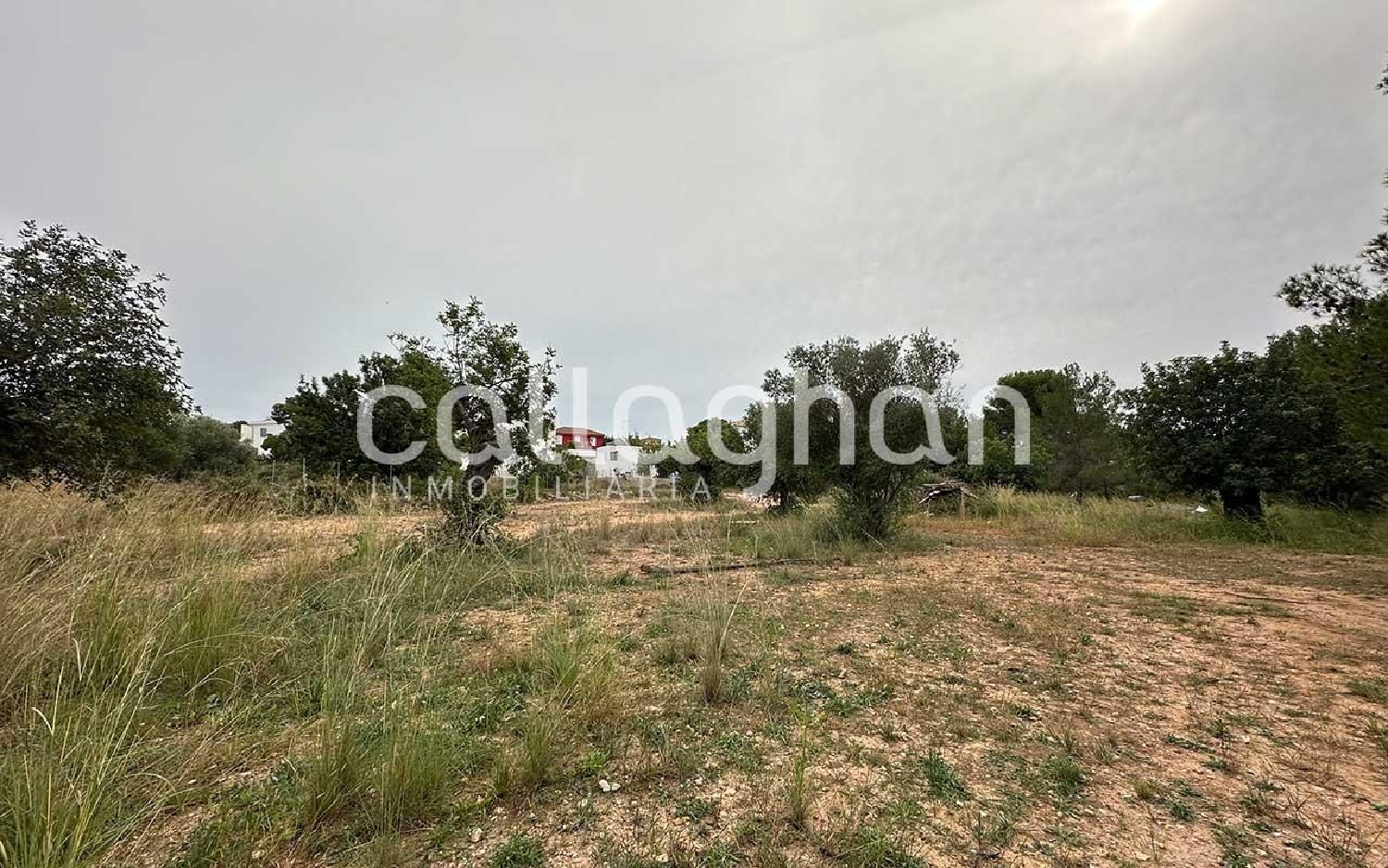 till salu tomt Urbanización Cumbres San Antonio Camp De Túria 3