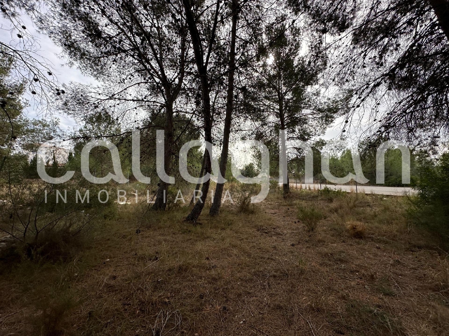  till salu tomt Urbanización Cumbres De San Antonio Camp De Túria 5