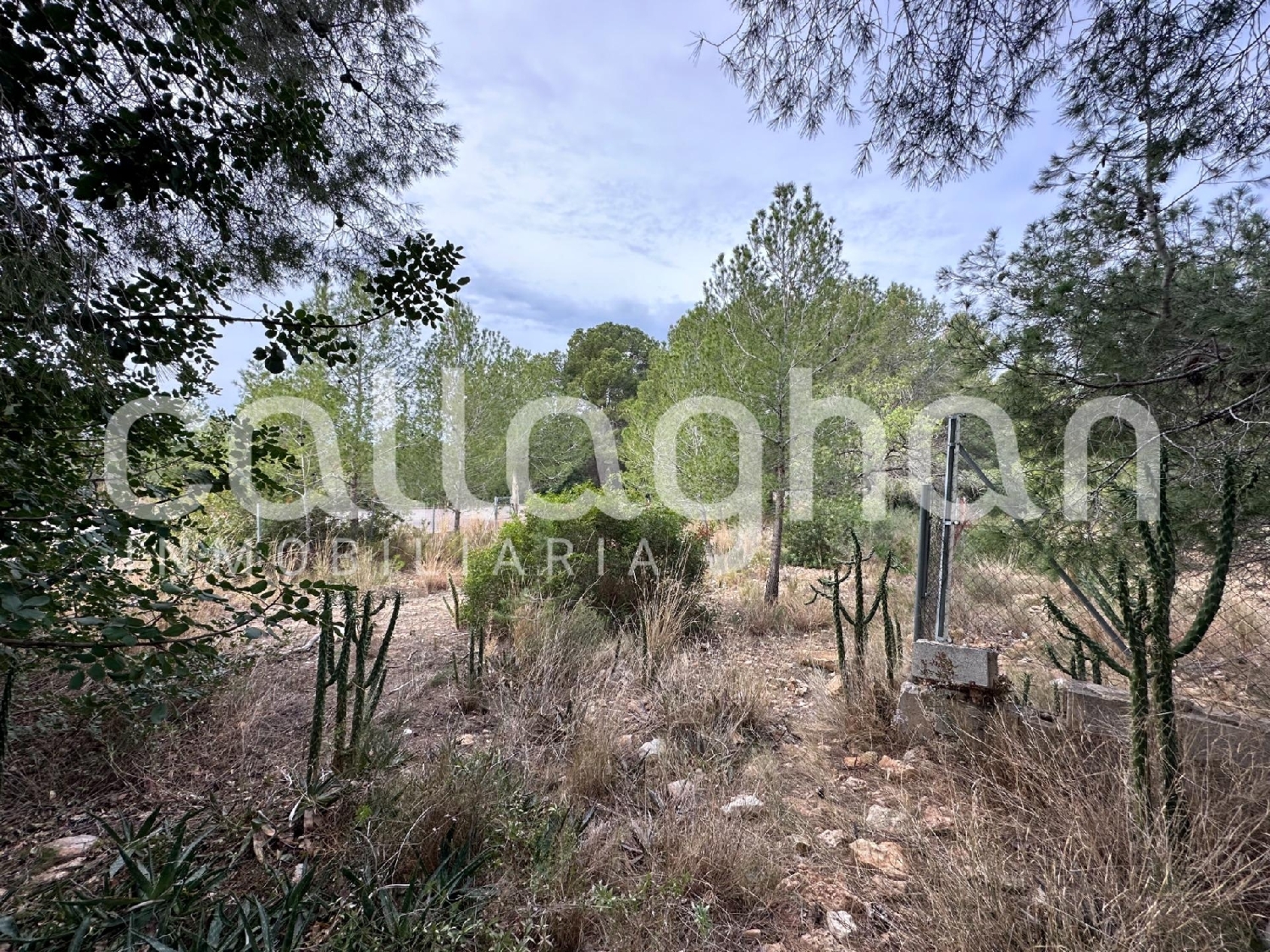 till salu tomt Urbanización Cumbres De San Antonio Camp De Túria 3