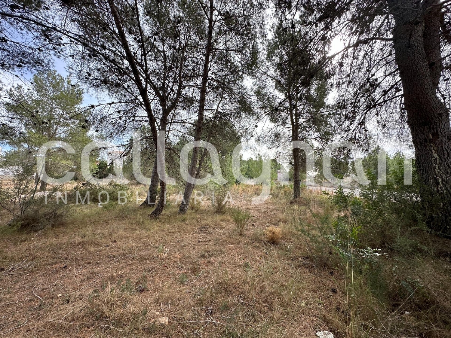  till salu tomt Urbanización Cumbres De San Antonio Camp De Túria 8