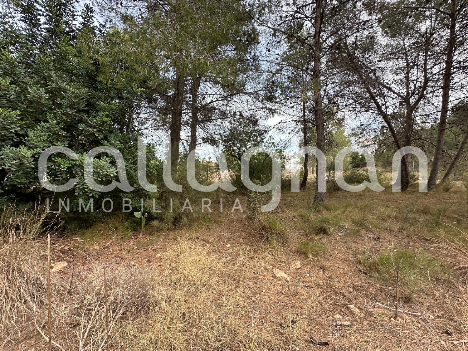 till salu tomt Urbanización Cumbres De San Antonio Camp De Túria 7