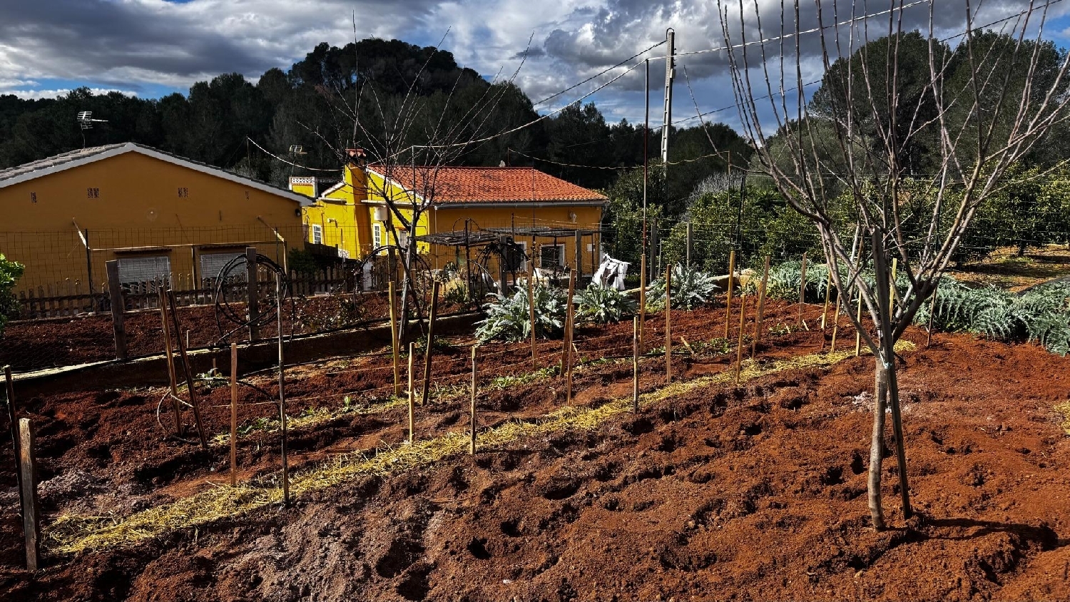  en venta terreno Urbanización Maset Del Pou Ribera Alta 3