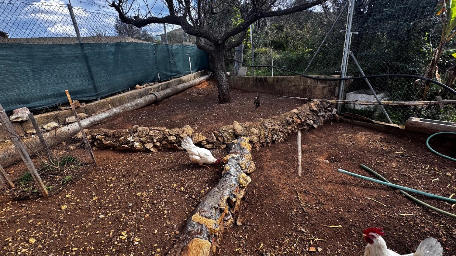  en venta terreno Urbanización Maset Del Pou Ribera Alta 2