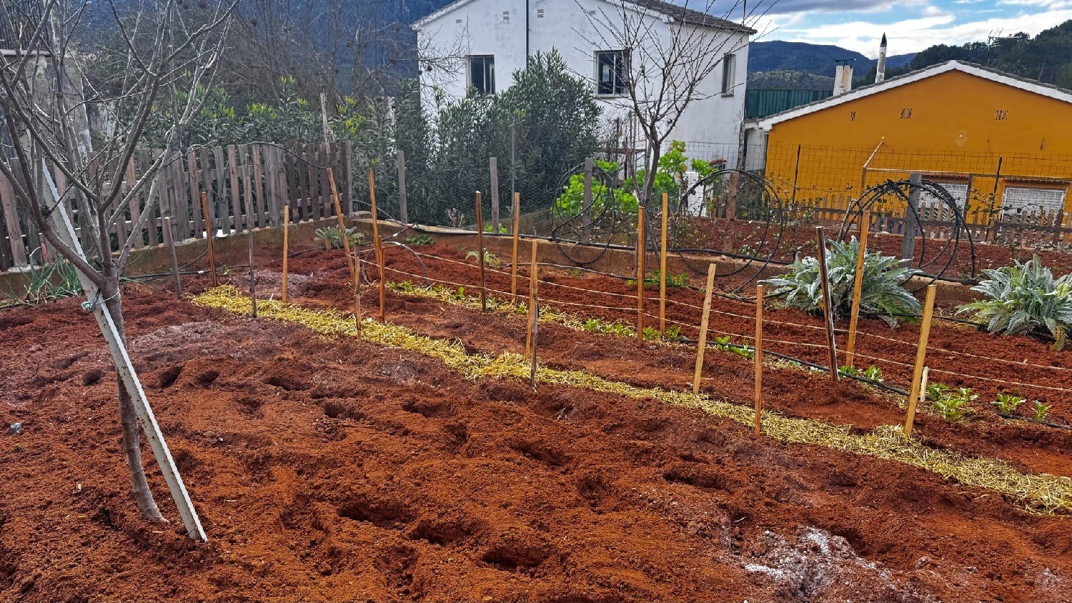  en venta terreno Urbanización Maset Del Pou Ribera Alta 6