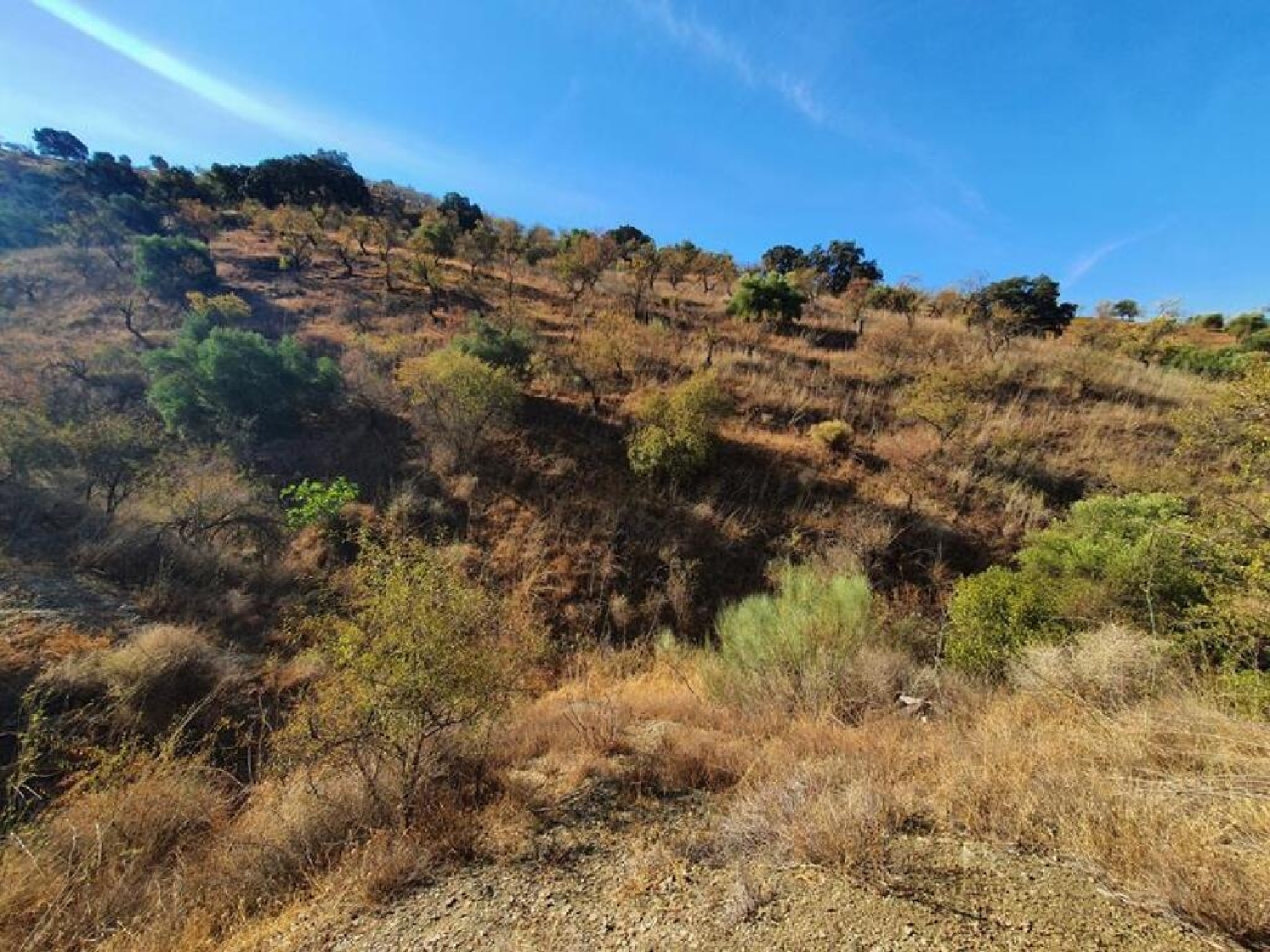  till salu tomt Barranco De Zafra Valle Del Guadalhorce 5
