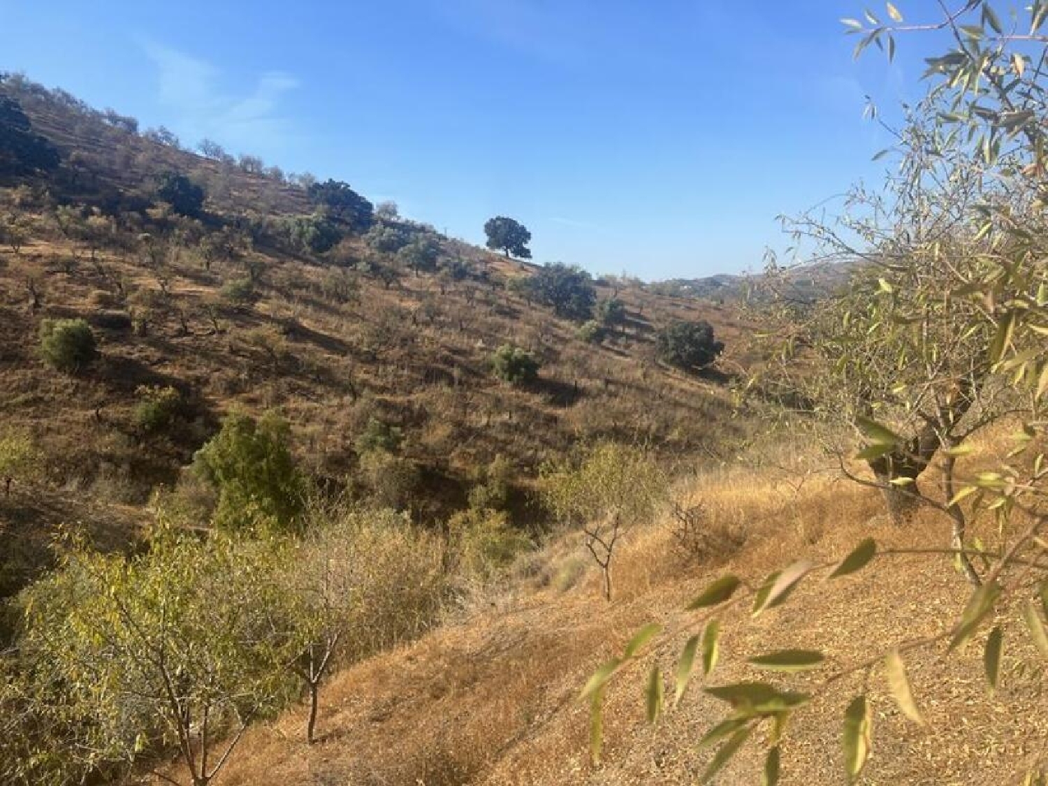  till salu tomt Barranco De Zafra Valle Del Guadalhorce 1