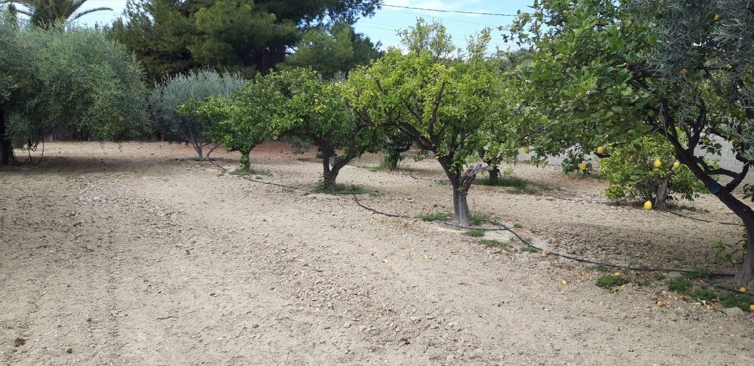 till salu tomt Urbanización El Carril Alacantí 2