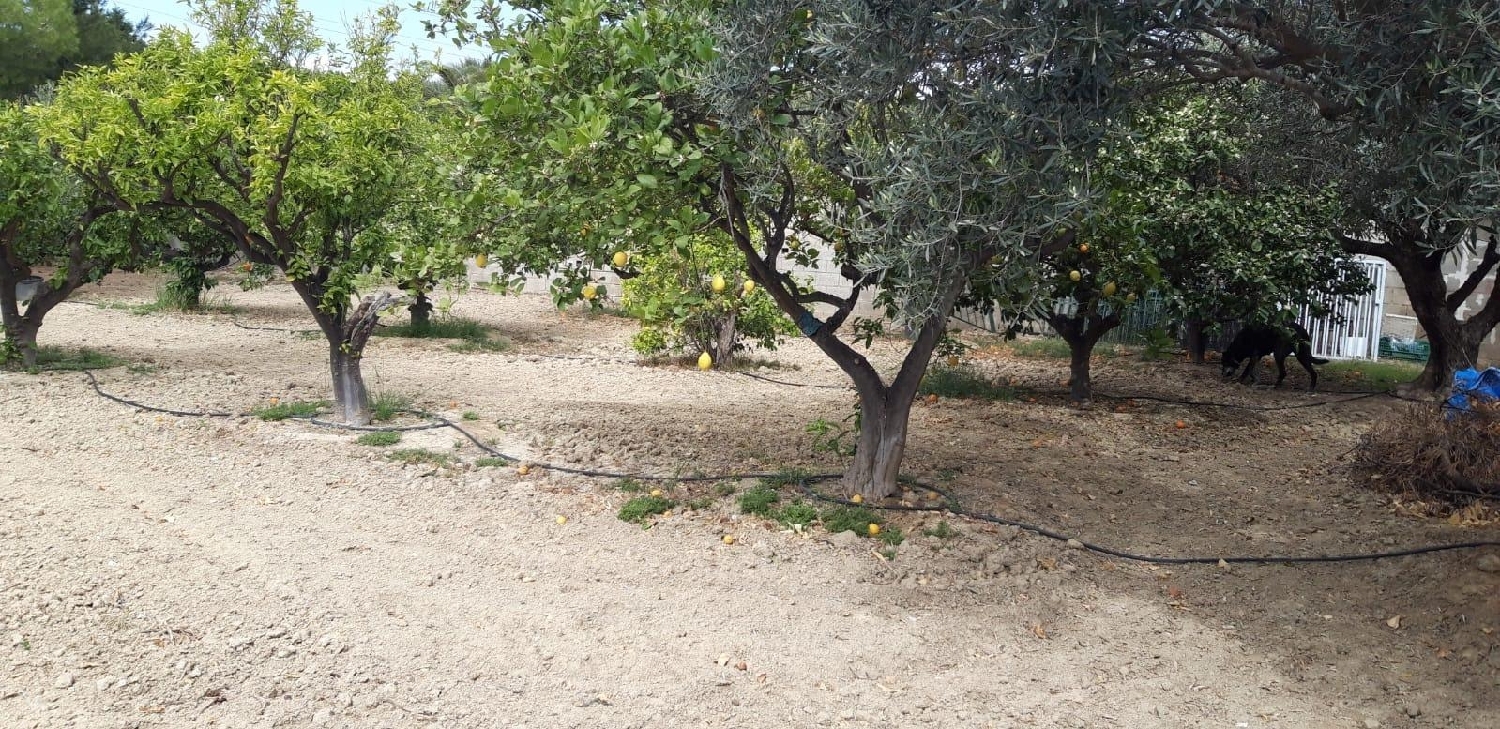 till salu tomt Urbanización El Carril Alacantí 3