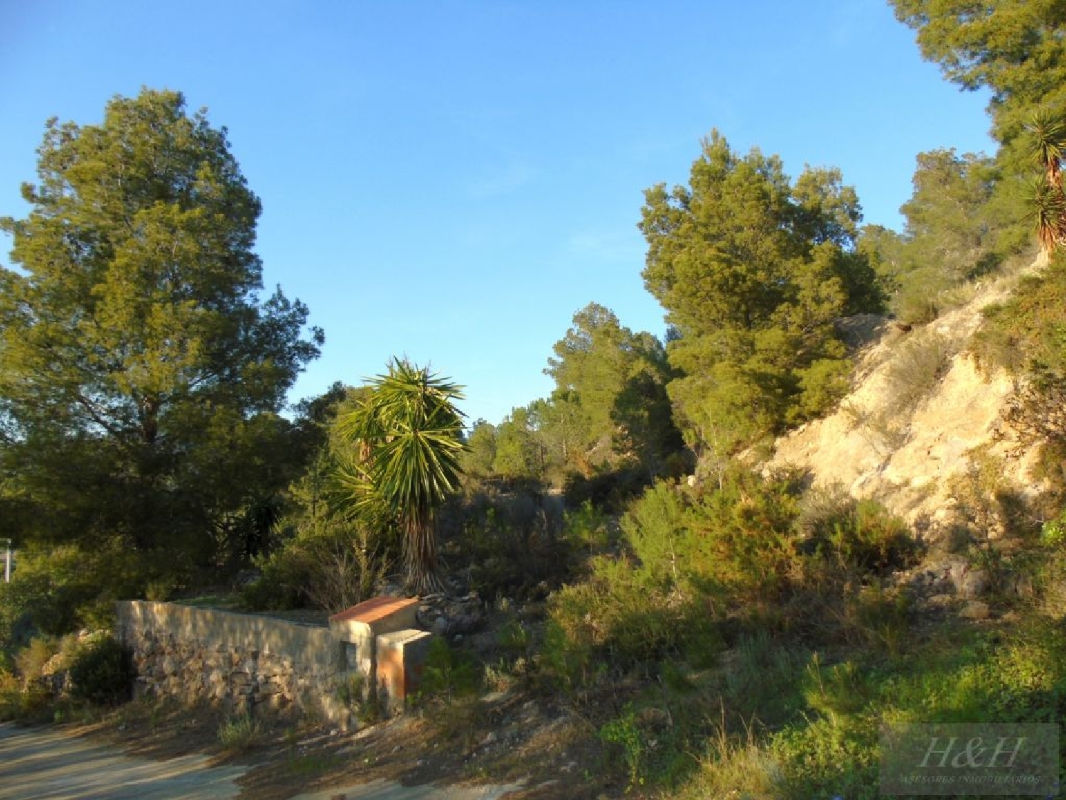 till salu tomt Urbanización La Lloma Camp De Túria 2