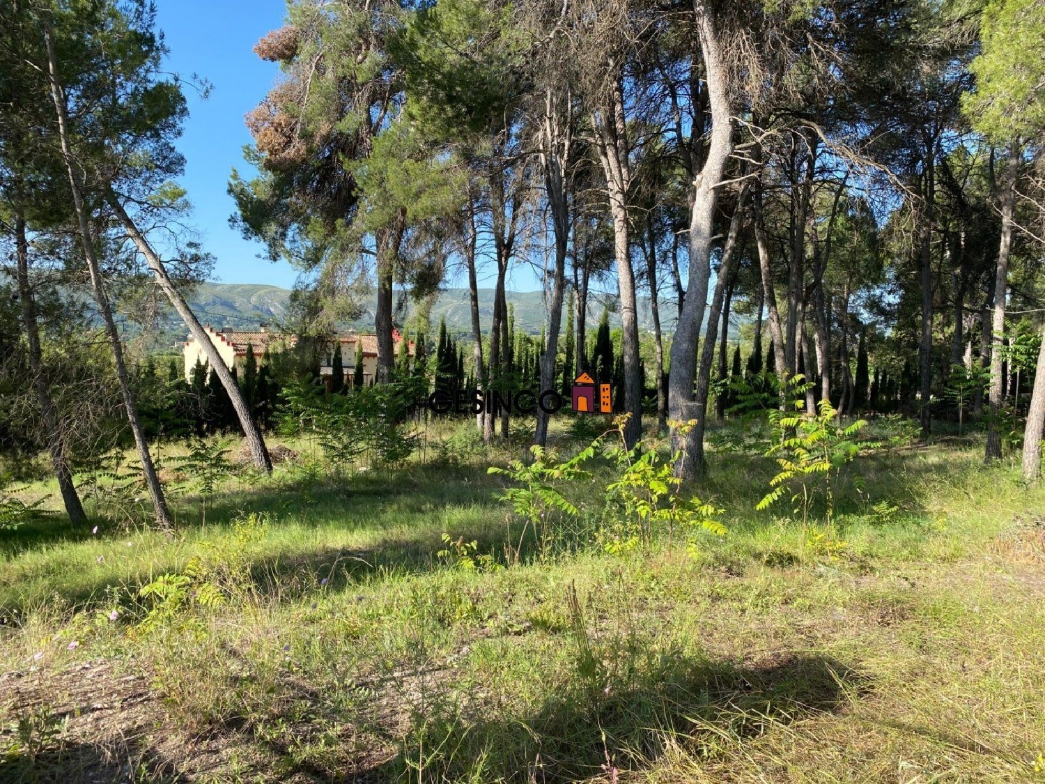  till salu tomt Casas De Eufemia Requena-Utiel 1
