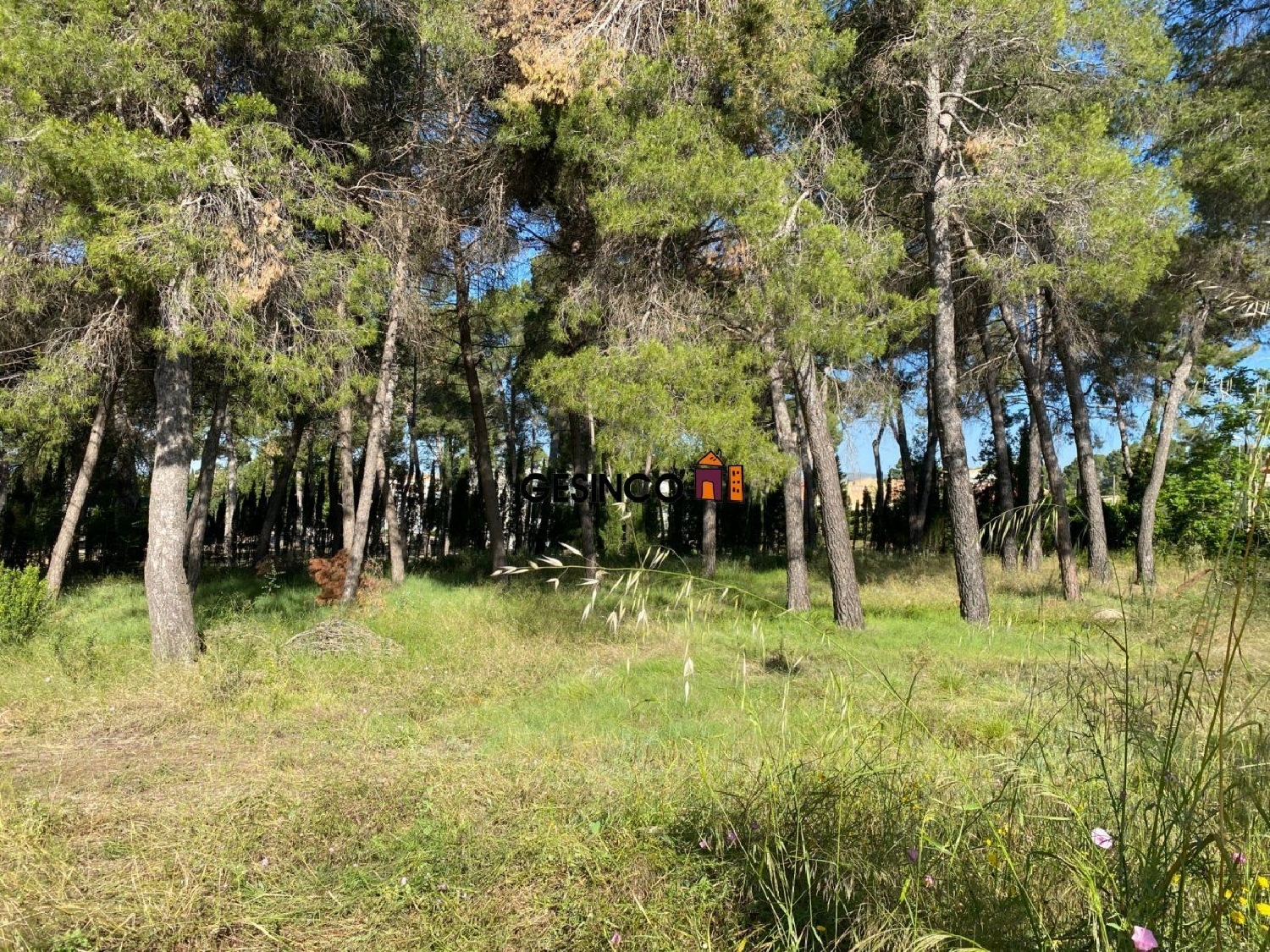 till salu tomt Casas De Eufemia Requena-Utiel 2