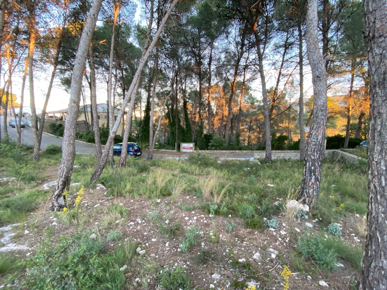 till salu tomt Urbanización Tiro De Pichón Ribera Alta 3