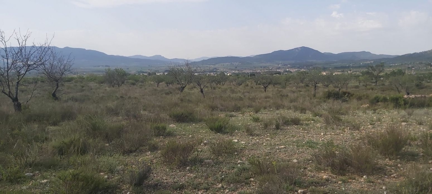  till salu tomt Urbanización La Virgen Alt Vinalopó 1