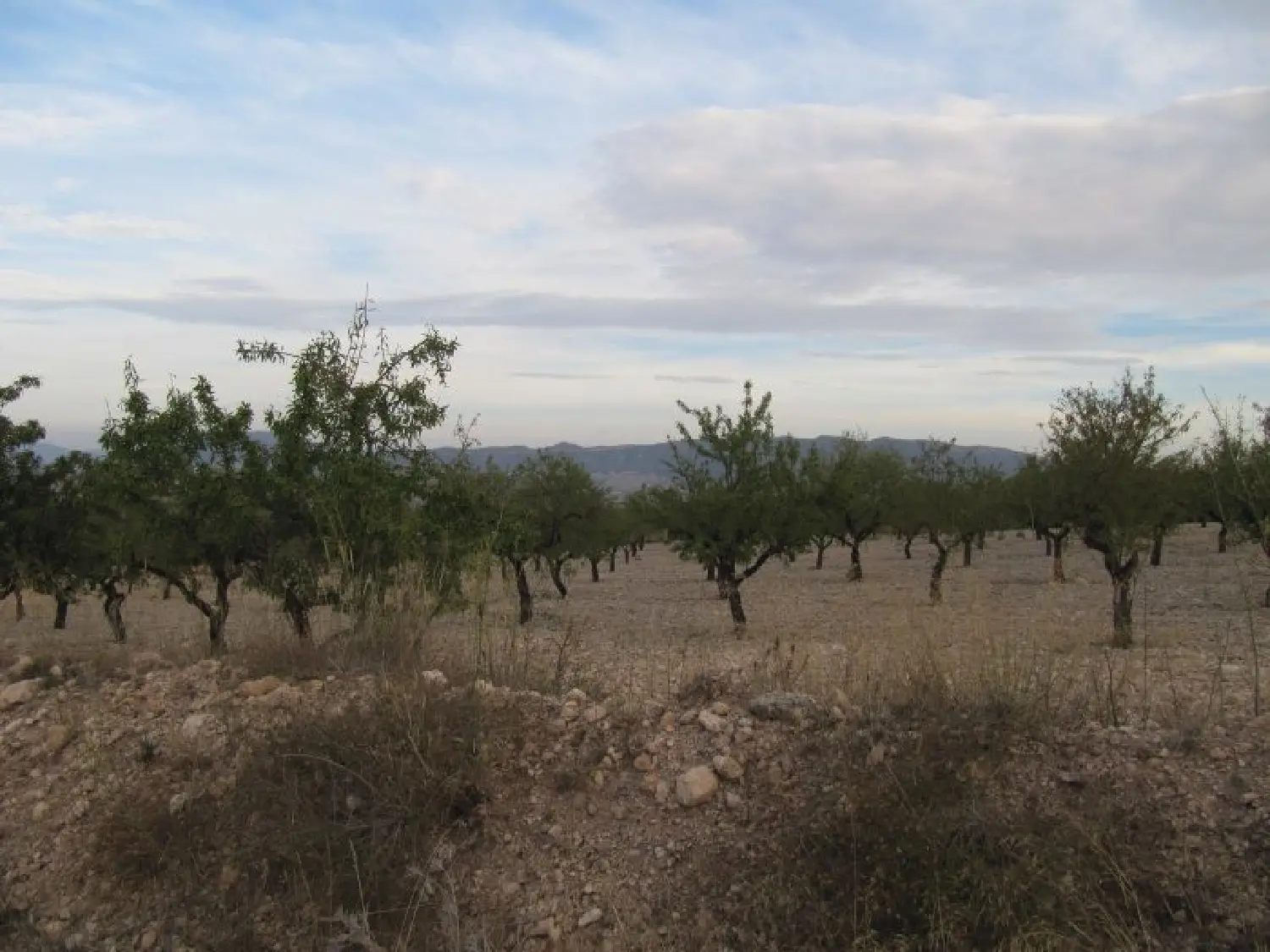  till salu tomt Urbanización Cava Negra Alt Vinalopó 1