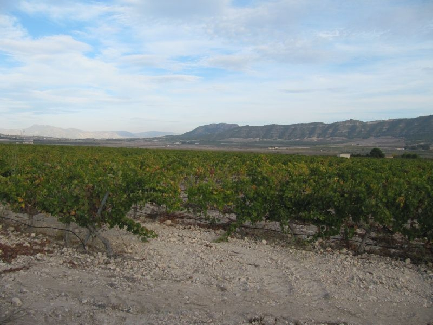  for sale plot Urbanización Las Beatas Alt Vinalopó 1
