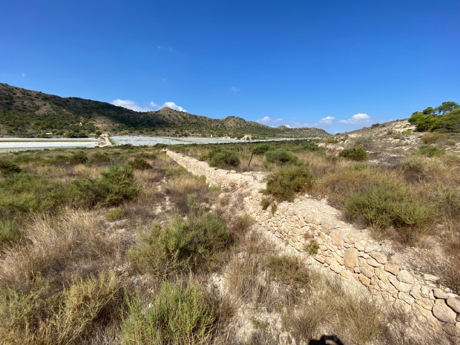  till salu tomt Urbanización Alenda Golf Vinalopó Mitjà 7