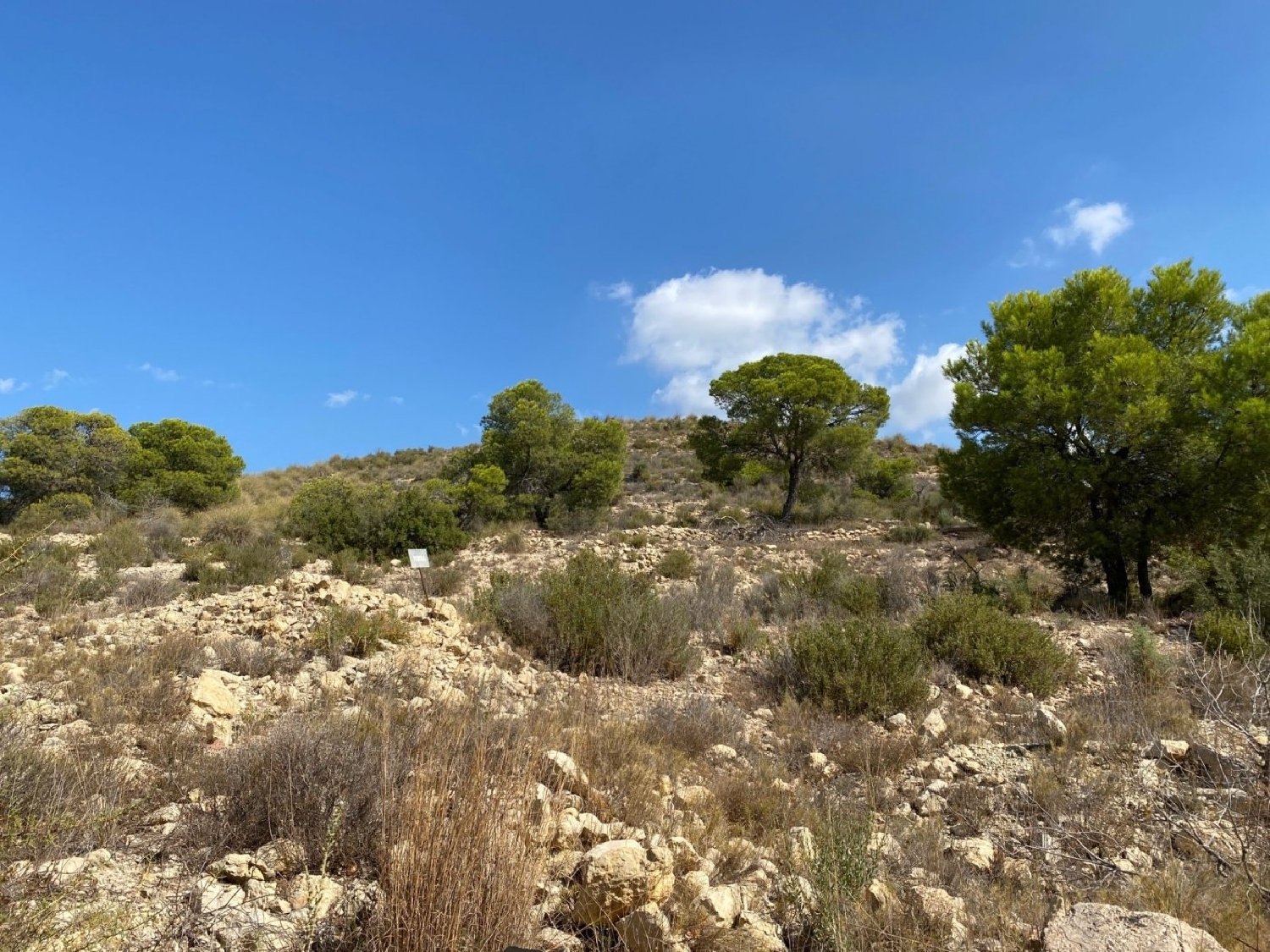 till salu tomt Urbanización Alenda Golf Vinalopó Mitjà 3